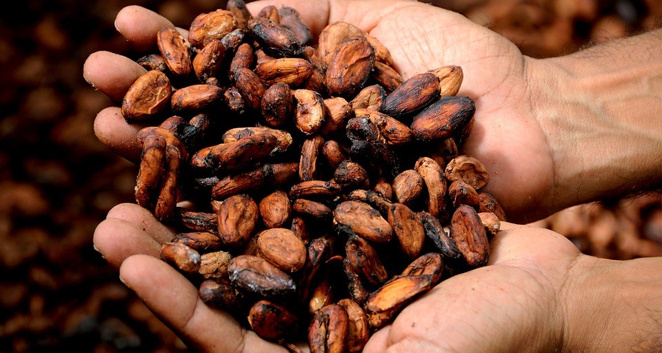 Consciousness raising In The Cocoa Supply Chain Work In Progress